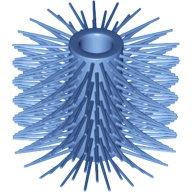 2473102 - Md-Blue