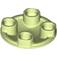 6113048 - Spr-Yell-Green